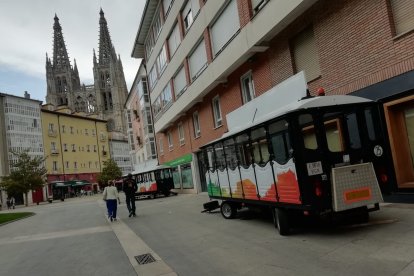 El tren chocó contra un árbol y derribó una señal de tráfico.