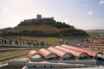 Bodegas Protos