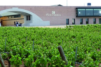 Fachada de las Bodegas Solterra en Roa de Duero