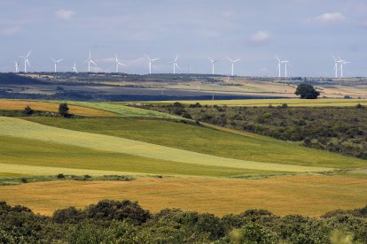 Instalación de aerogeneradores visible desde la instalación de Penal. La Ley de Patrimonio tratará de que no se acerquen más y proteger el Valle de Río Pico.
