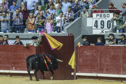 El toro vuelve a los corrales tras ser indultado