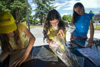 Taller para los niños de 3º a 6 de Primaria. 