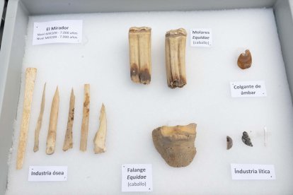 Entre restos de huesos destaca un colgante en ámbar. Los pastores de Mirador son sibaritas en cuanto a materiales que eligen por su belleza y calidad.