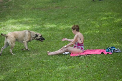 Las imágenes que deja la ola de calor en Burgos.