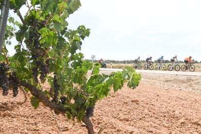 Vuelta a Burgos 2023