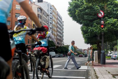 La señal superior, la luz para los vehículos y la de los peatones, casi ocultas por el árbol.  TOMÁS ALONSO