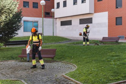 El Plan de Limpieza de choque ha arrancado en el barrio de San Pedro de la Fuente.