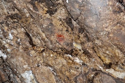 Pigmentos rojos que se han localizado en el sector 100 de la excavación de Mirador. Es un rastro porque las ovejas, al rascarse con la pared, borraron el dibujo.