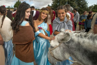 Celebración de la XXIII Fiesta Romana en Honor al Dios Baco, de Interés Turístico de Castilla y León, que se celebra en la localidad burgalesa de Baños de Valdearados.