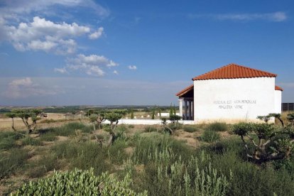 Parque Arqueológico de Roa