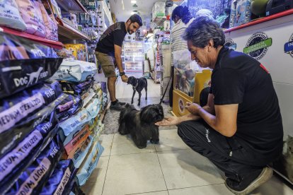 Varios animales acuden con sus dueños a la tienda de la calle La Merced.