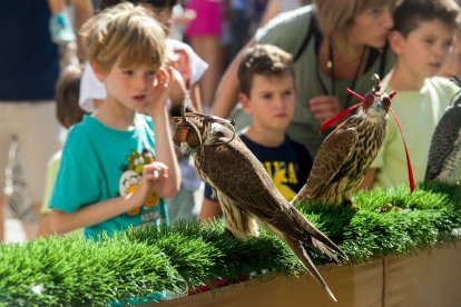 Instante de la exhibición de aves de Burgos Cidiano 2023.