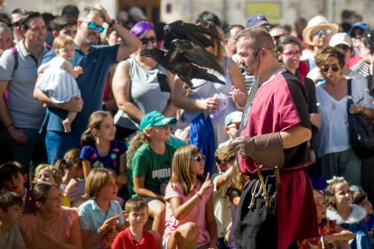 Instante de la exhibición de aves de Burgos Cidiano 2023.