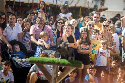 Instante de la exhibición de aves de Burgos Cidiano 2023.