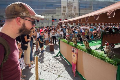 Instante de la exhibición de aves de Burgos Cidiano 2023.