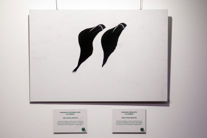 Imagen de Clara Ochoa ganadora del premio de Fotografía One Welfare.