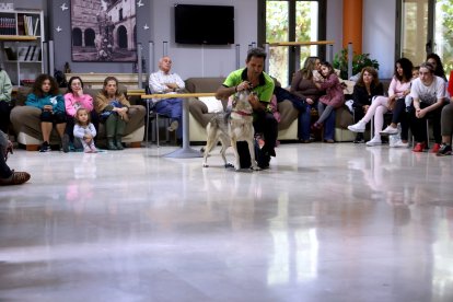 Imagen del taller 'Aprendiendo con lobos'