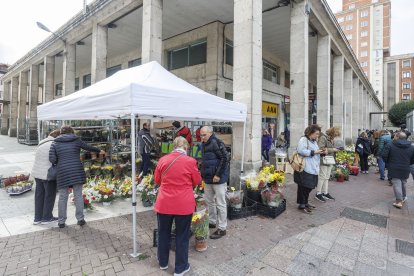 Los puestos se han desplegado el miércoles y viernes pasados en el Mercado de Frutas y Verduras y desde el sábado al martes en el entorno de Plaza España.