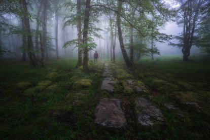 Extraordinario lapiaz en hayedo de Monte Santiago