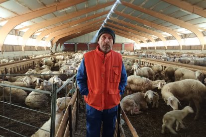 Por suerte la segunda nave no se vio afectada