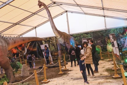 Exposición de Dinosaurios Animatrónicos de Dinosauria Experience en Burgos.