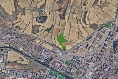 Plano de la zona de la reforestación.