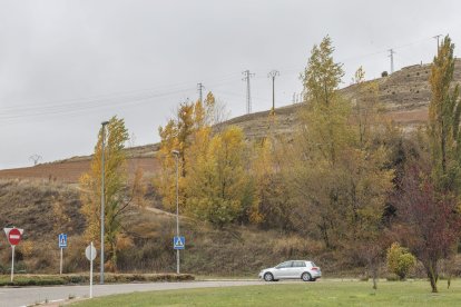La plantación se realizará en las cercanías de la Glorieta de la Hispanidad y en la avenida Valentín Niño.