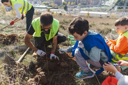 Instante de la plantación promovida por Fundación Oxígeno.