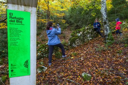 El Refugio del Boj.