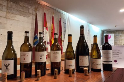 Enoduero celebró con Peter Sisseck su gran cata Fin de Año