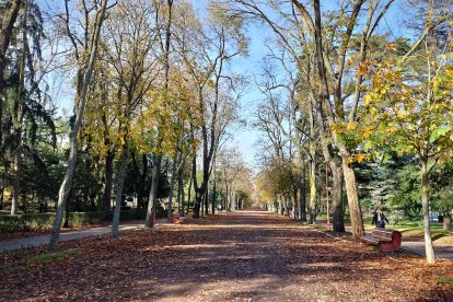 El paseo central es un largo pulmón de naturaleza arbórea para los burgaleses.