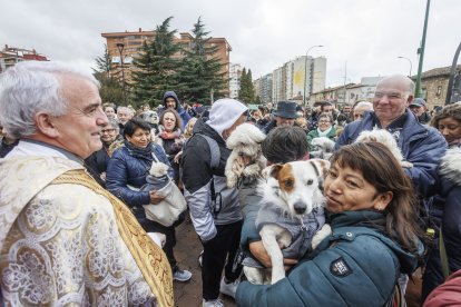 Gamonal celebra la Fiesta de los Titos 2024.