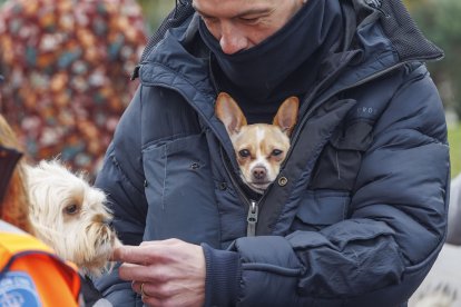 Gamonal celebra la Fiesta de los Titos 2024.