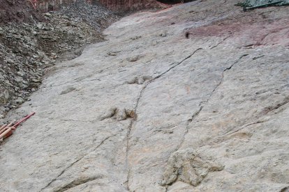 Icnitas en la zona de Costalomo