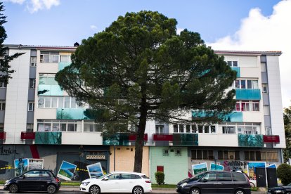 En el barrio se mezclan los edificios que han finalizado su remodelación con los que todavía están a falta de ello.