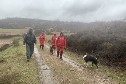 Efectivos del GREM rastrean un camino con sus perros adiestrados en la localización de personas.