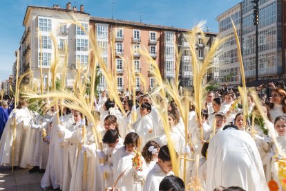 Un momento de la emocionante procesión del Domingo de Ramos en la capital burgalesa, en el que los niños son los protagonistas.