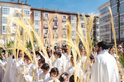 Un momento de la emocionante procesión del Domingo de Ramos en la capital burgalesa, en el que los niños son los protagonistas.