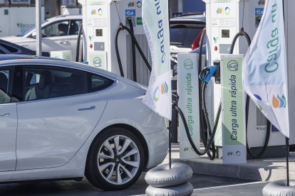 Los cargadores están adaptados para todo tipo de vehículos electricos.