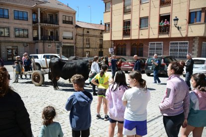Inicio de la ruta carreteril en Quintanar de la Sierra.
