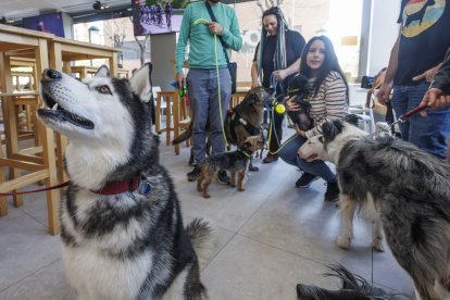 Anouk posa para la cámara