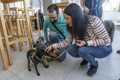 Conocer nuevos amigos es también uno de los objetivos de la comunidad