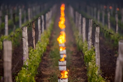El fuego ayuda a templar la superficie del viñedo
