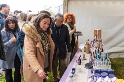 El cultivo de la lavanda está cada vez mas presente en la provincia