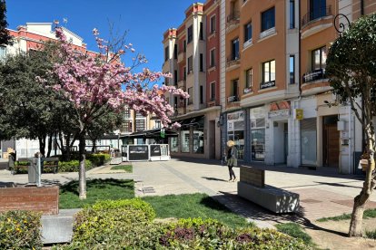 La medida no afectaría a las zonas comerciales