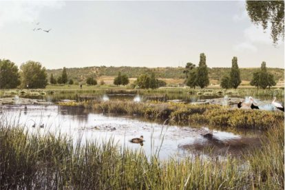 Humedales de fitodepuración, en las cercanías de la Estación Depuradora de Aguas Residuales.