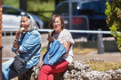 Celebración del Día de las Peñas en Fuentes Blancas