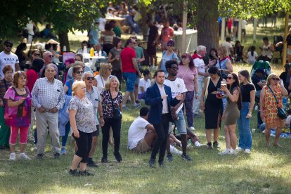 Sesión musical en el Día de las Peñas.