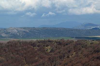Impresiona ver el hayedo en otoño desde el alto del Otero.