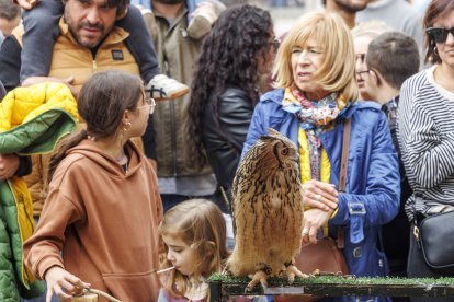 El desfile, el pregón y las actividades giran en torno a la figura del Cid. SANTI OTERO